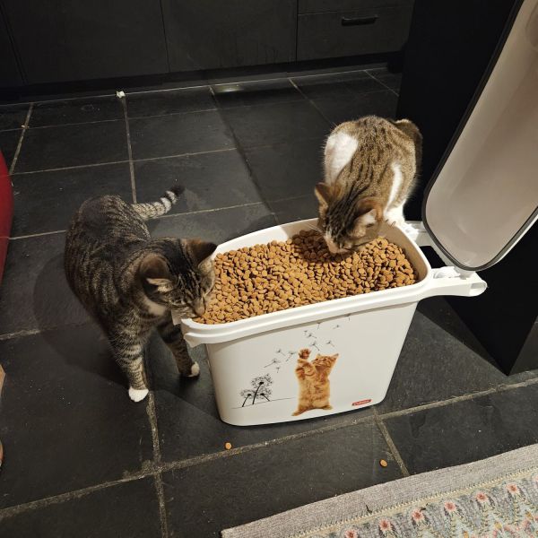 Keesje en Cooper