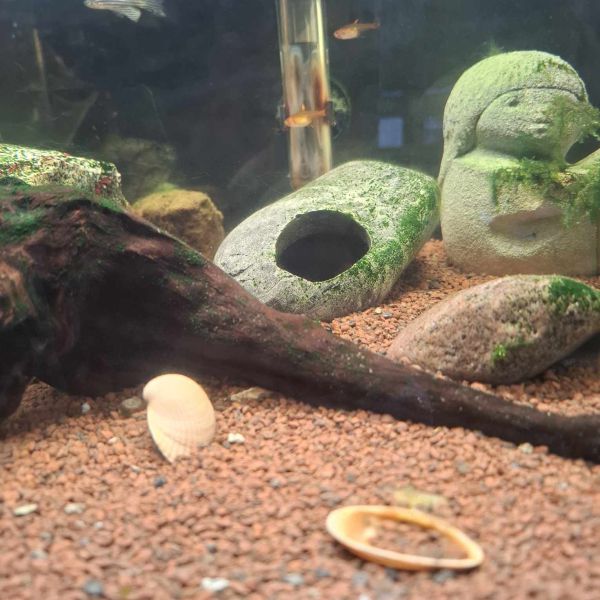 aquarium