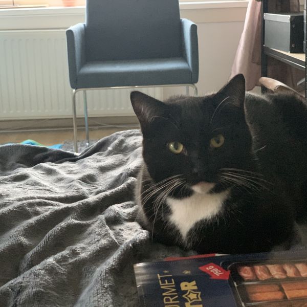 Binkie