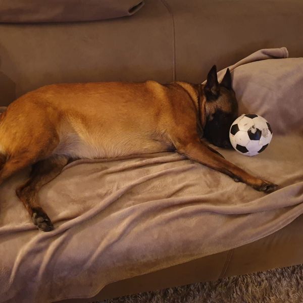 Coco