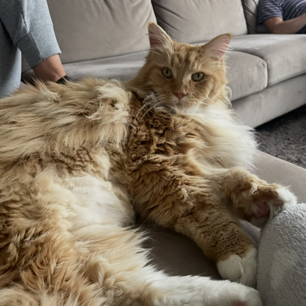 Binky