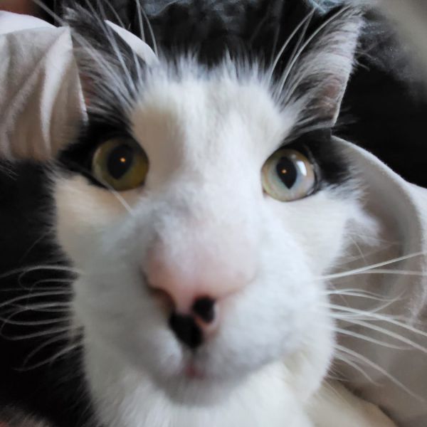 Charlie
