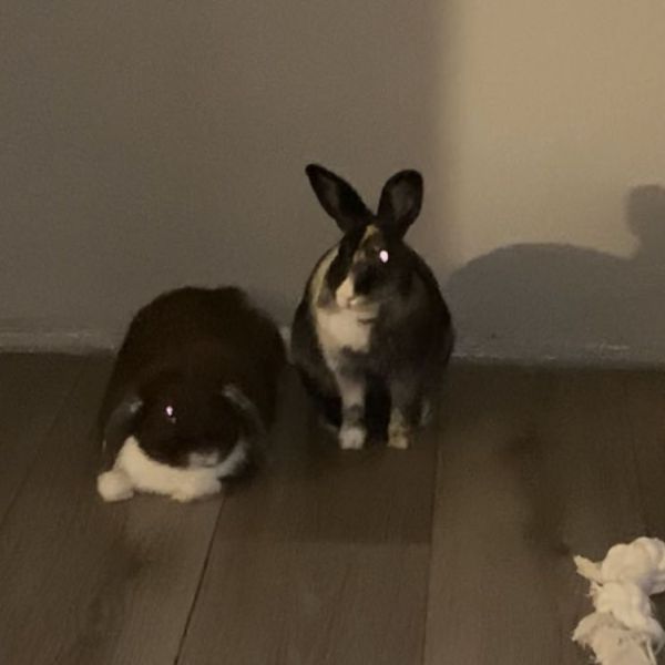 Nugget (rechts)