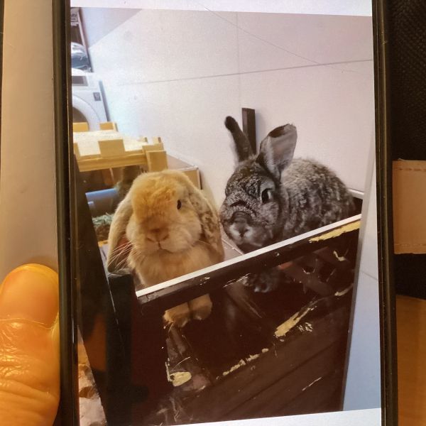 Bunnie &amp; Pablo