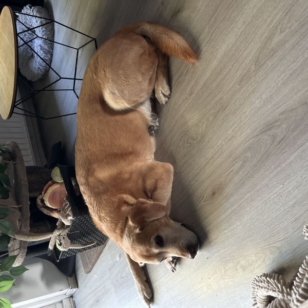 Flynn