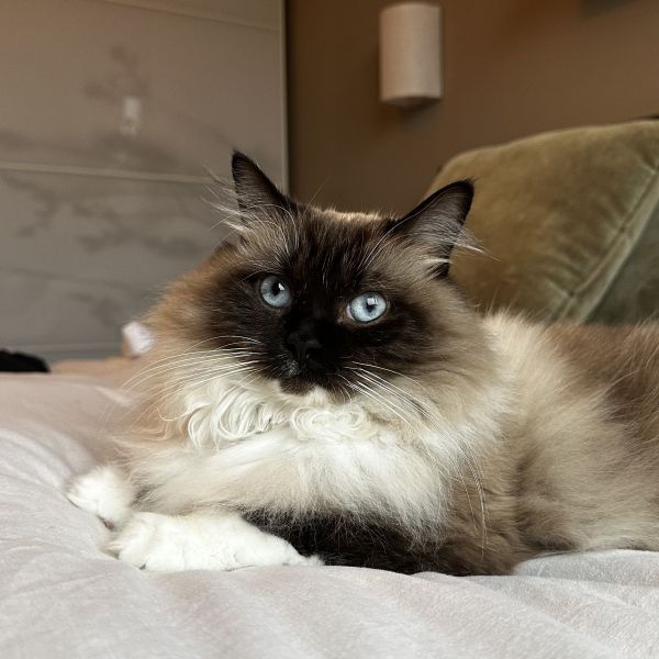 Billie