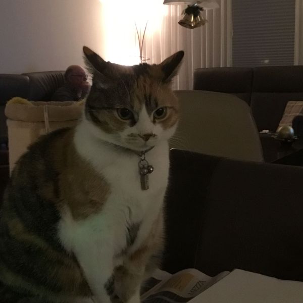Luna