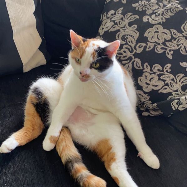 Kiki