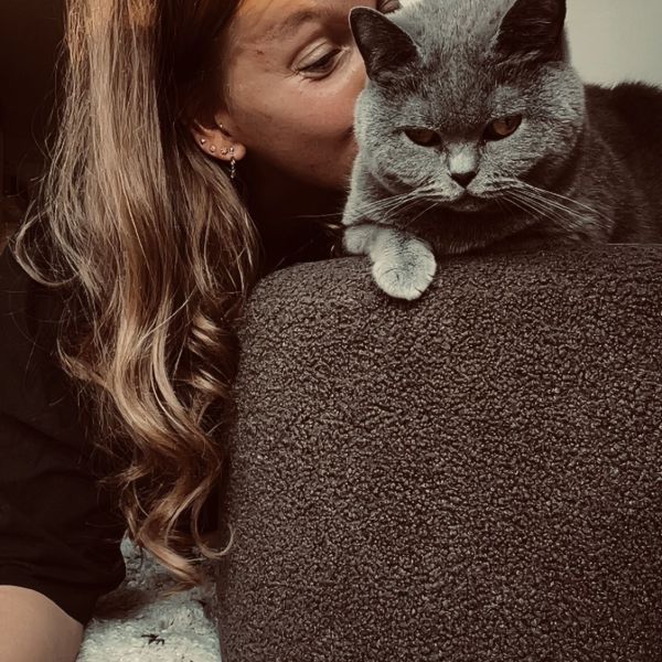 Muis