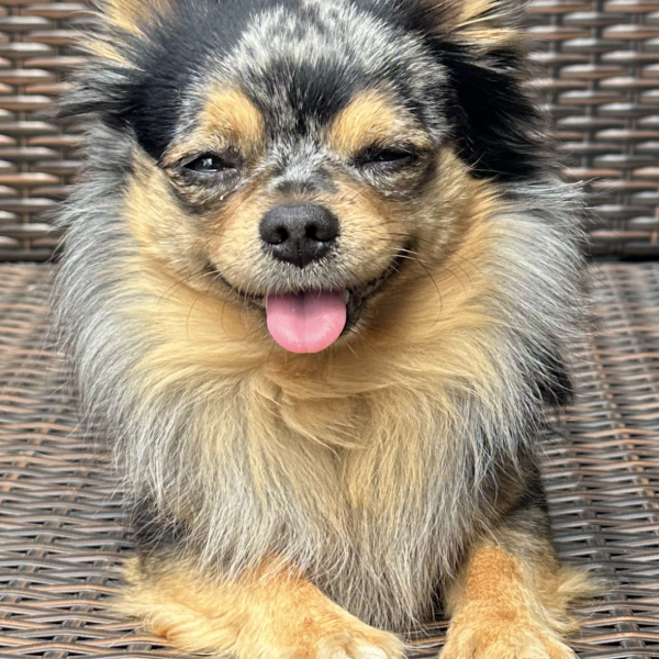 Sam