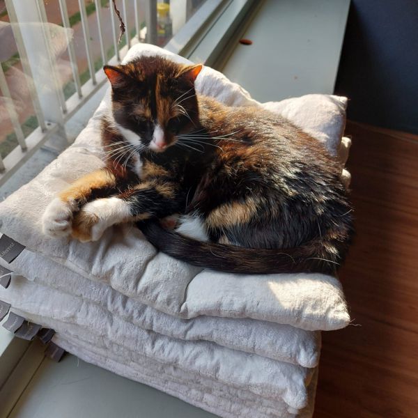Suzie