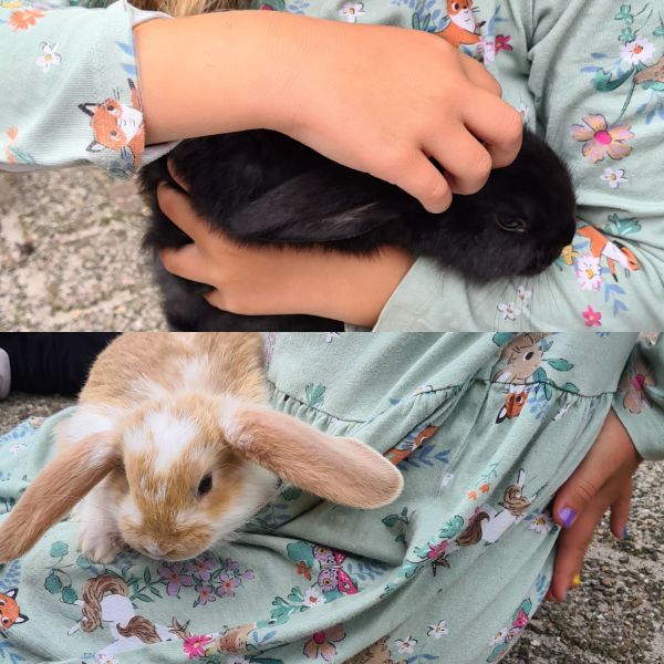 Peppie en kokkie