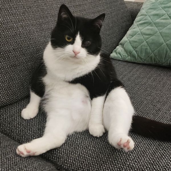 Molly