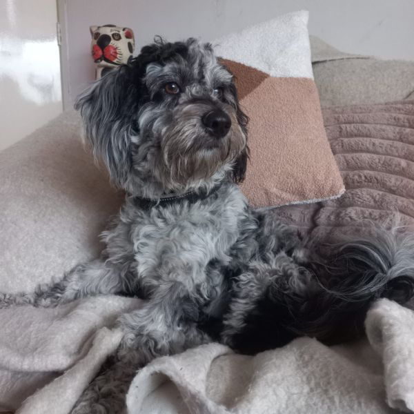 Zoë
