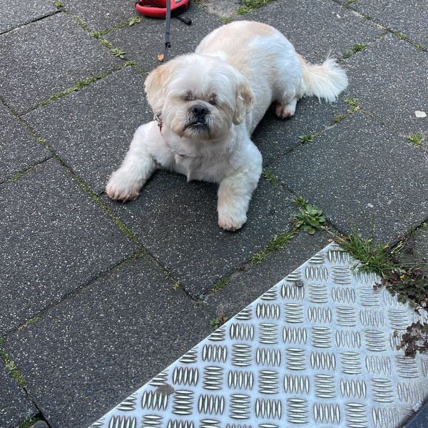Bincky