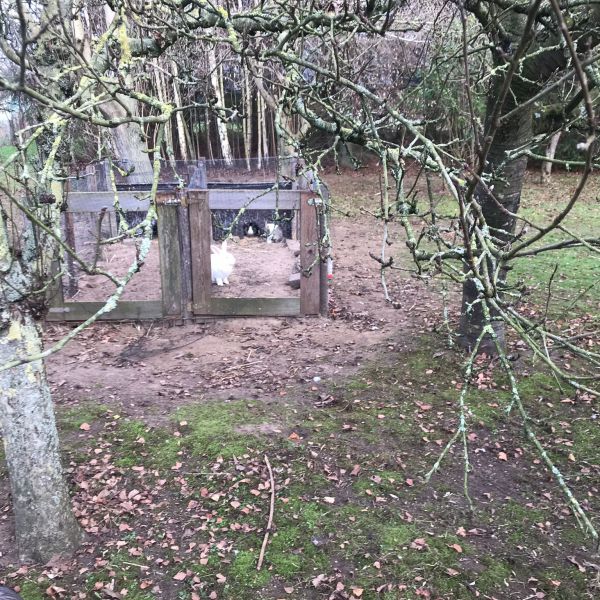 Berend en 'voedster'