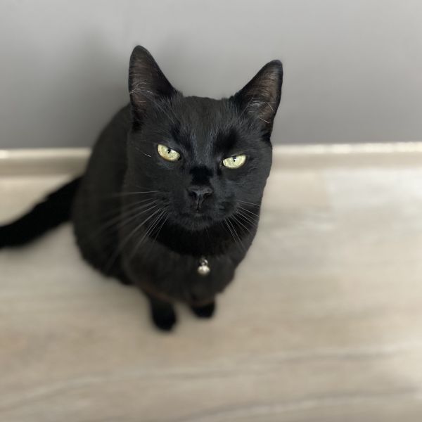 Coco