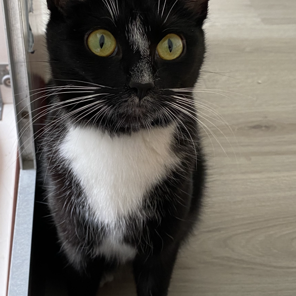 Luna