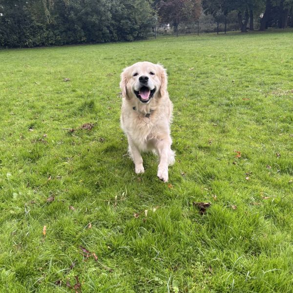 Max