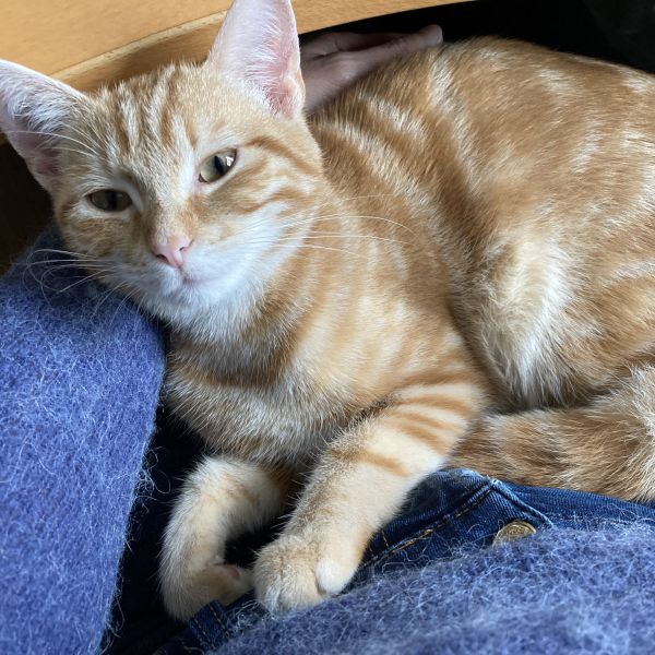 Charlie