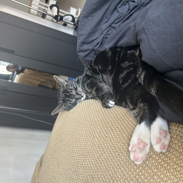Tiny