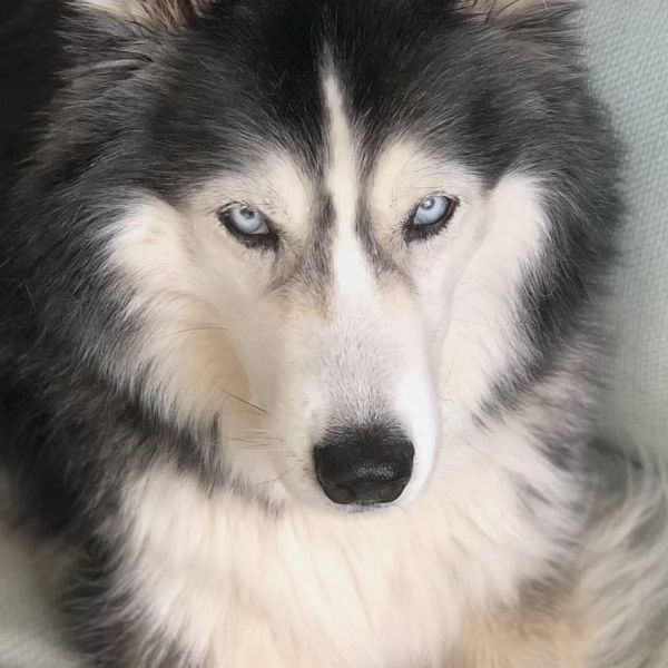 Freya