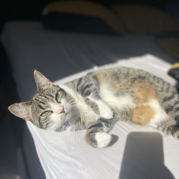 Luna