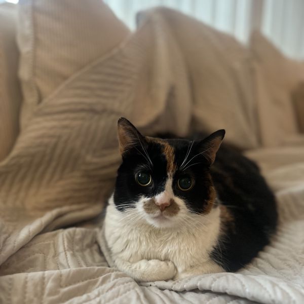 Milly
