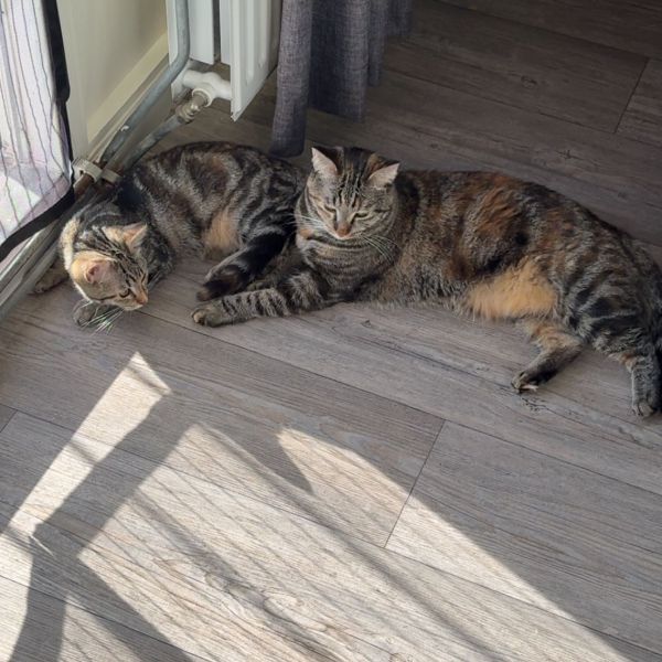 Mia en Lilly