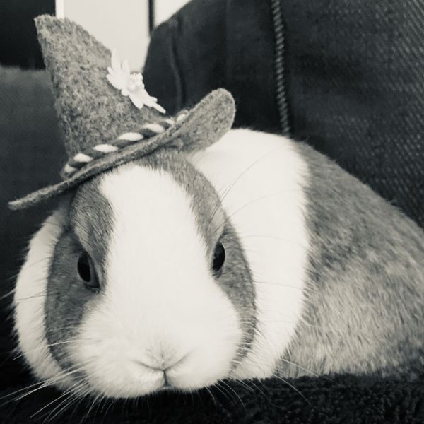 Loetje &amp; Coco