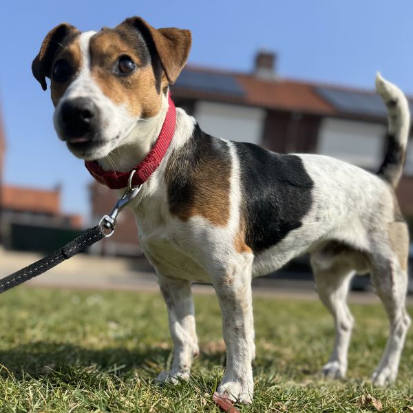 Max