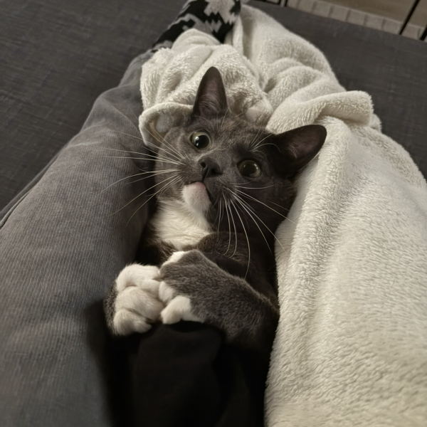 Mowglie