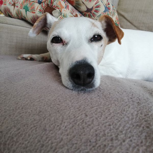 Jack (woont bij mijn ouders)