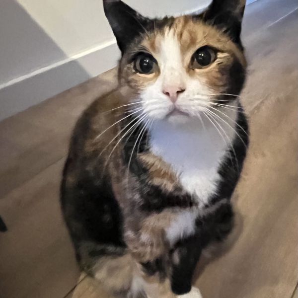 Mia