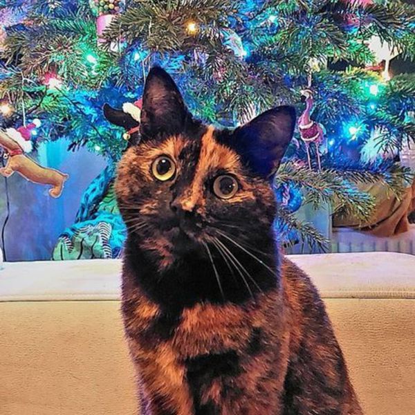 Molly