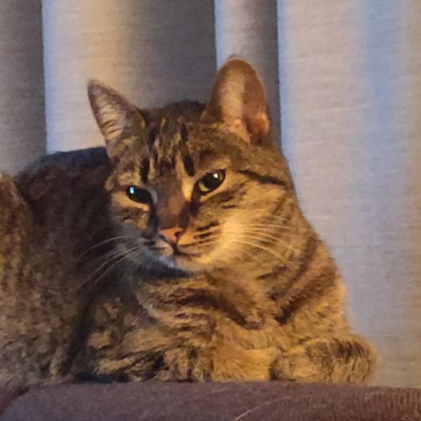 Nori