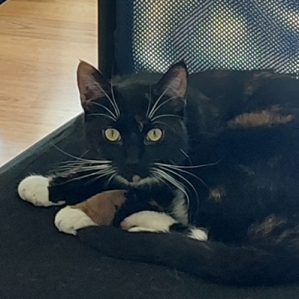 Nótt