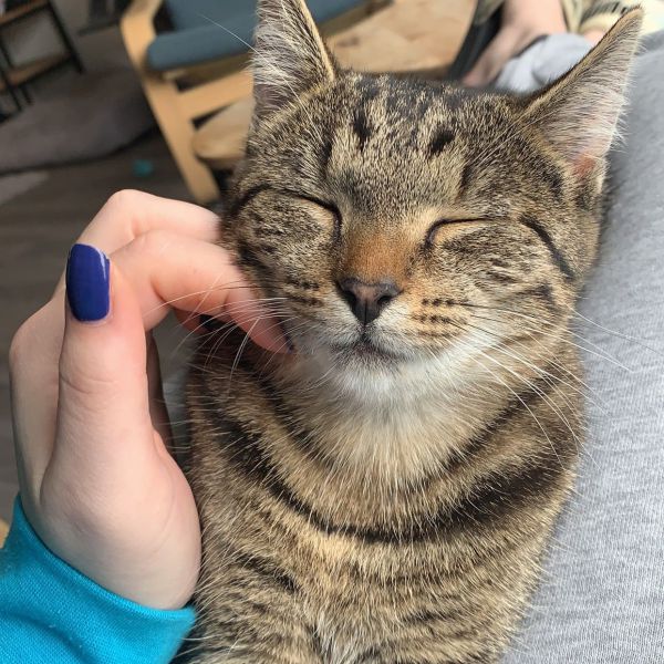 Odin