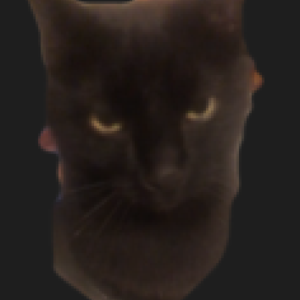 Mitsie