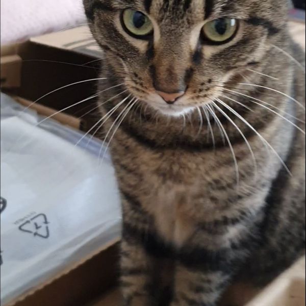 Luna