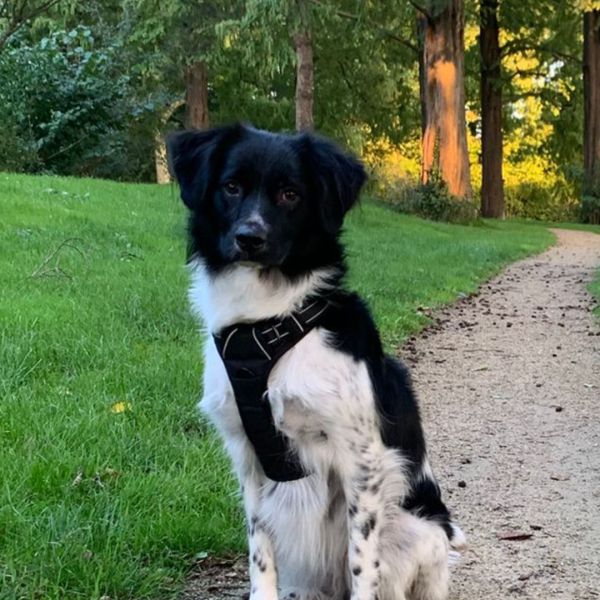 Zoë