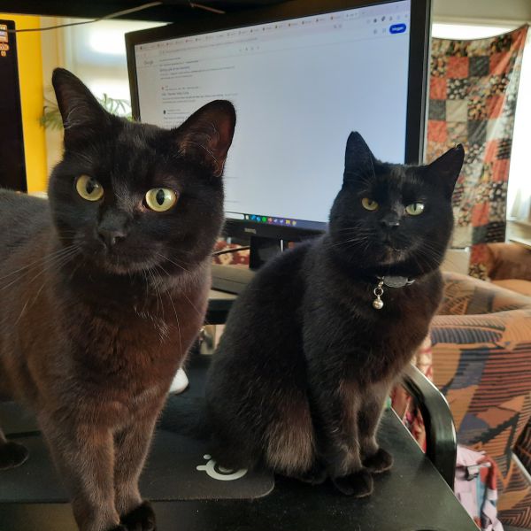 Fiep &amp; Gronkeltje