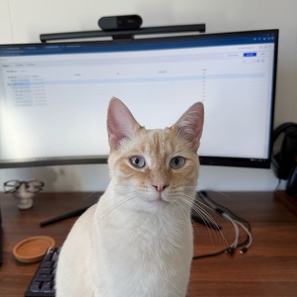 Victor