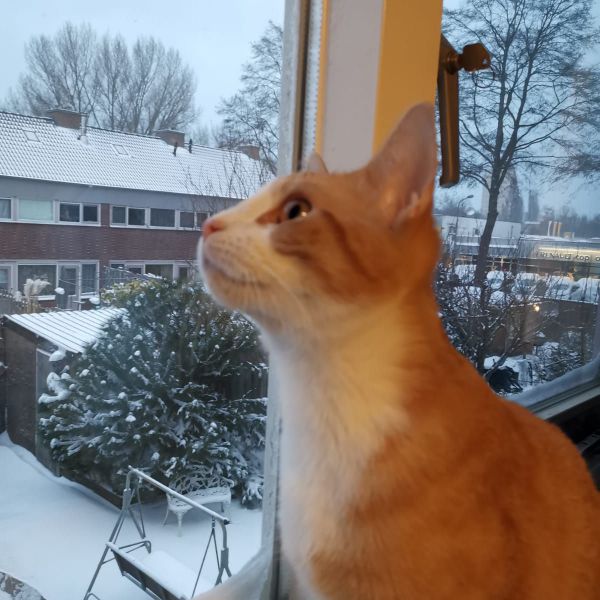 Coda