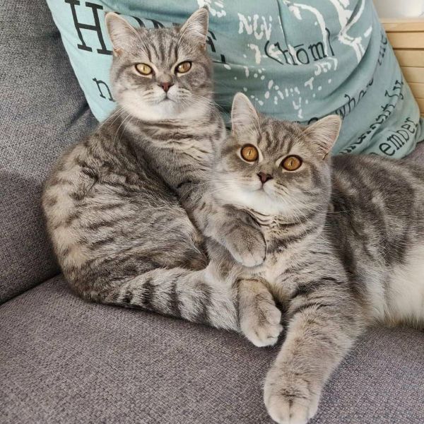 Lilly &amp; Zoey
