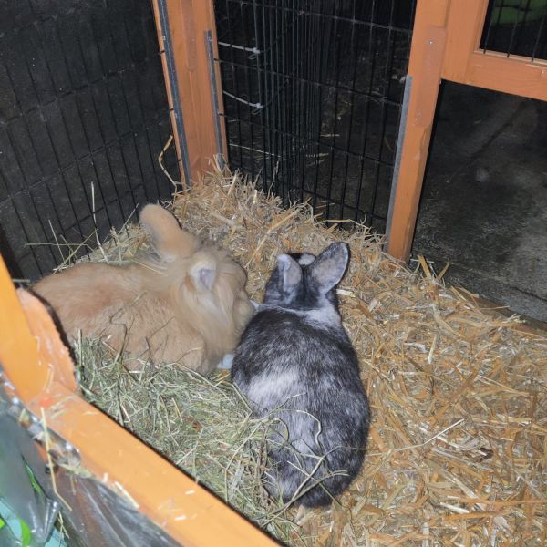 Marcel &amp; Rozemarijn