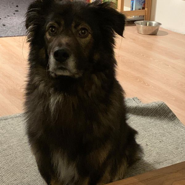 Boris