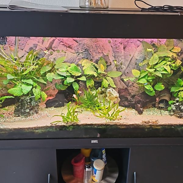 aquarium