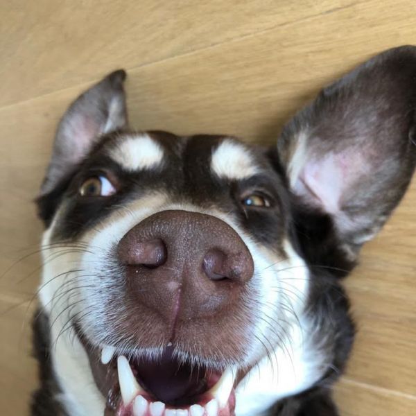 Charlie