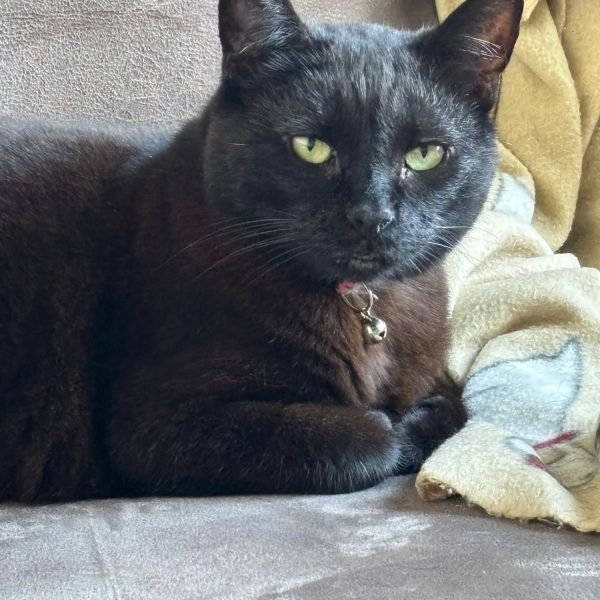 Zoë